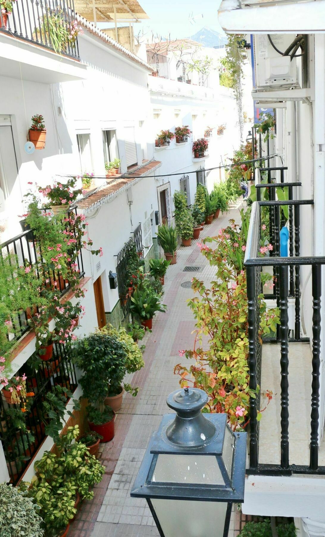 Hostal La Pilarica Марбелья Екстер'єр фото