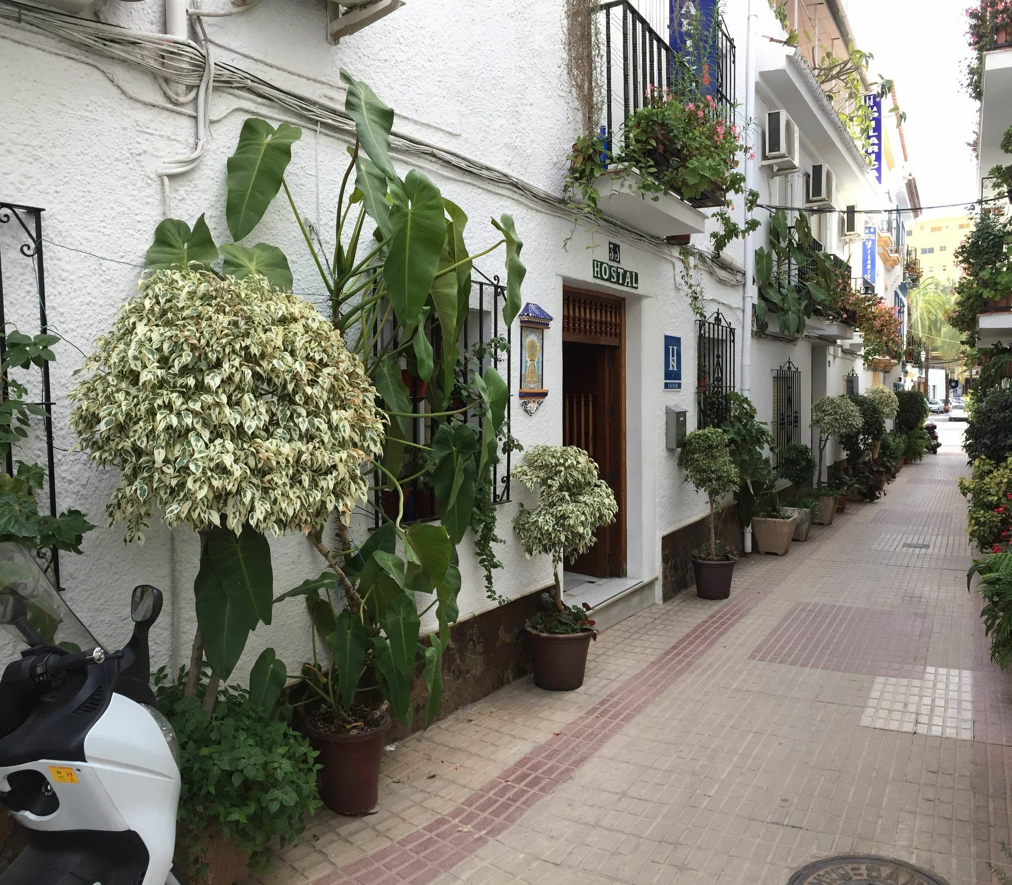 Hostal La Pilarica Марбелья Екстер'єр фото